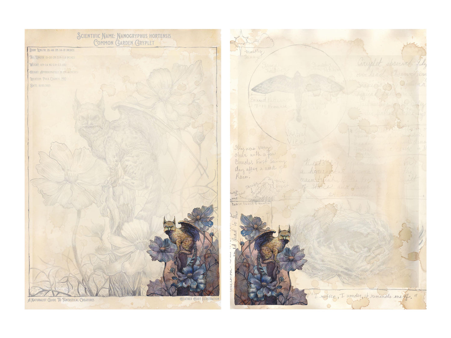 Fantasy Field Journal Notepaper Set | Vintage Gryphon Art | A Naturalist's Guide to Fantastical Creatures | Complete Writing Kit